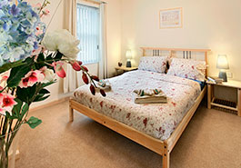 Starfish House 5